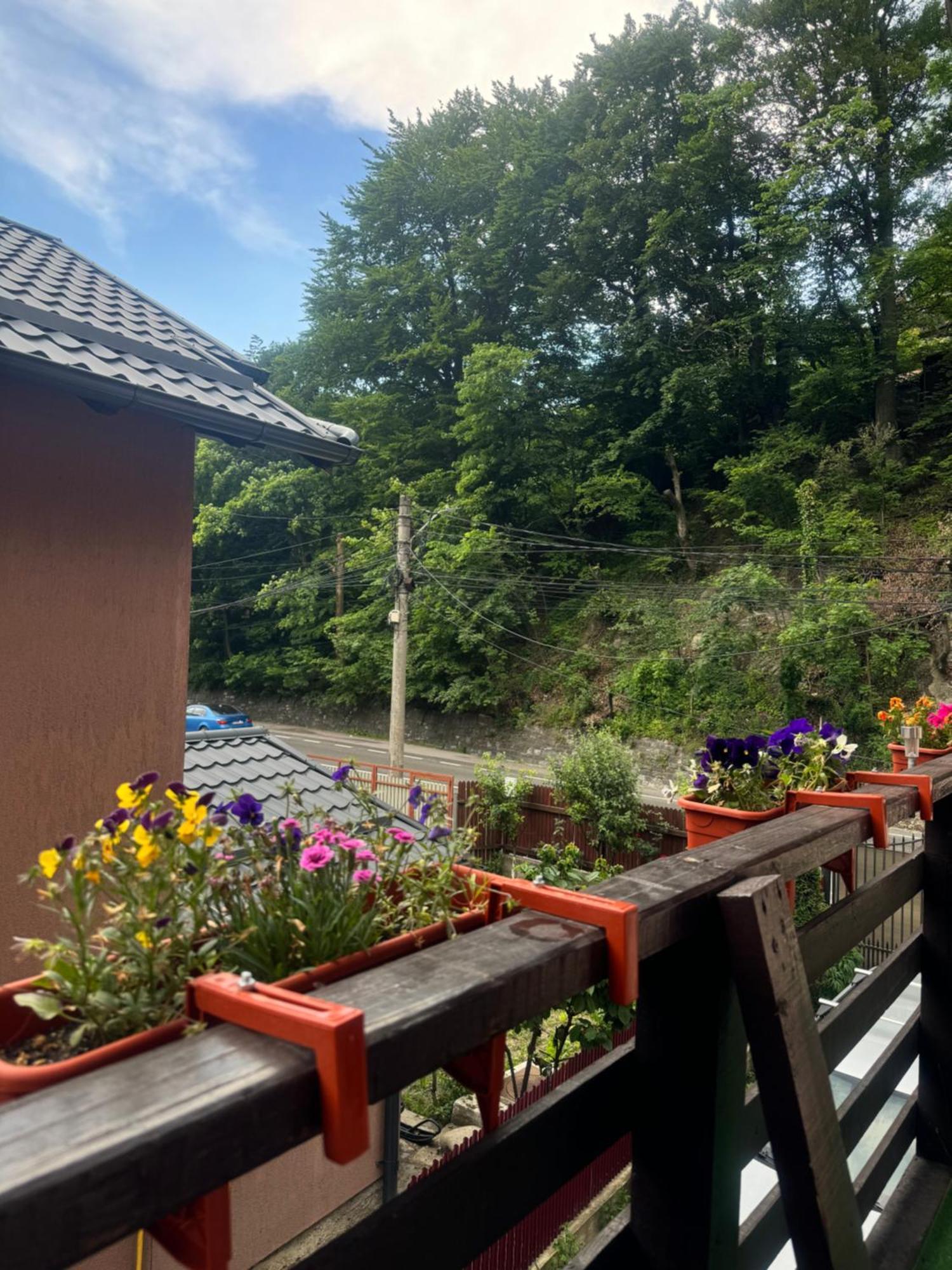 River Apartment 锡纳亚 外观 照片